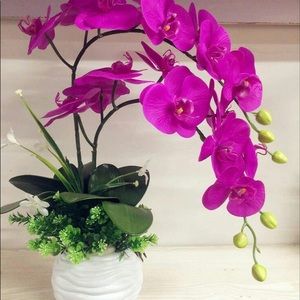 Meet your Posher, Hiba